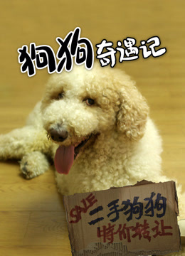 狗狗奇遇记}