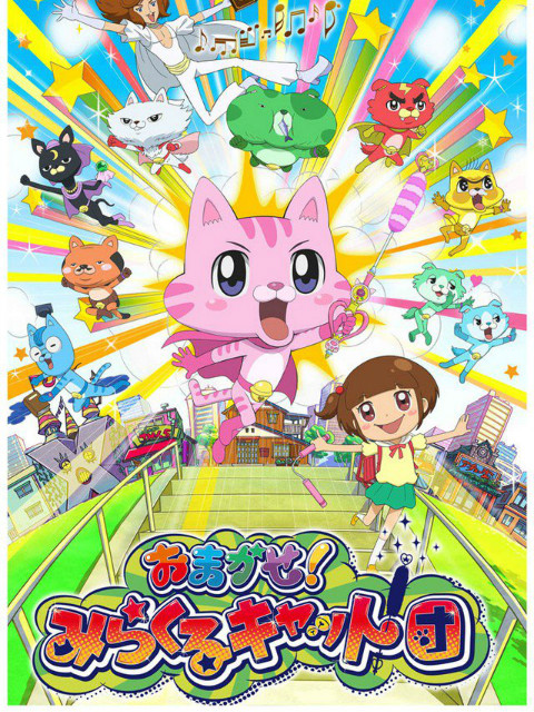 交给你了奇迹猫团}