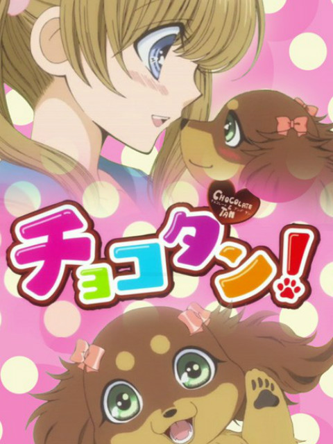 巧克力小狗}