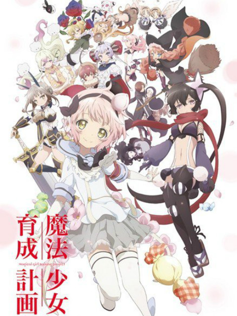 魔法少女育成计划}
