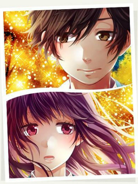 告白实行委员会嫉忌的答复}