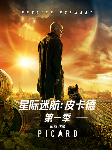 星际迷航皮卡德}