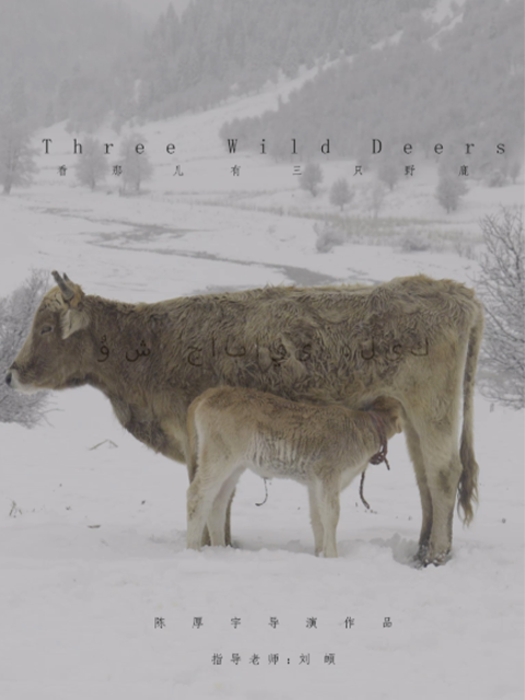 看那儿有三只野鹿}