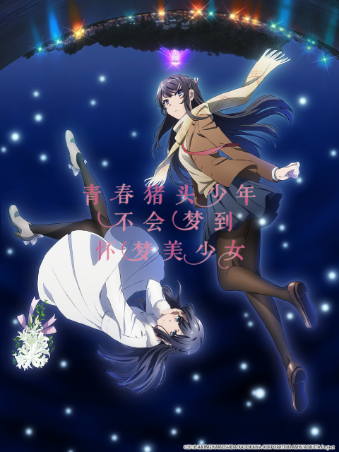 青春猪头少年不会梦到怀梦美少女}