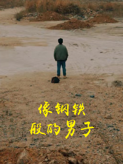 像钢铁般的男子}