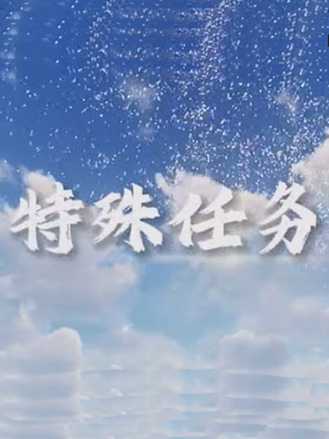 特殊任务}