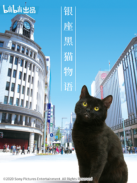 银座黑猫物语}
