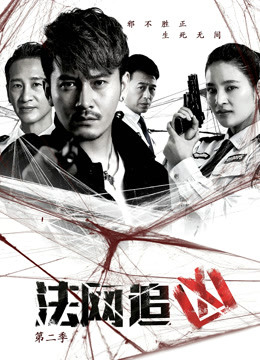 法网追凶第二季}