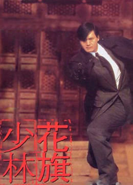 花旗少林粤语版}