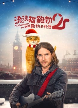 流浪猫鲍勃2鲍勃的礼物}