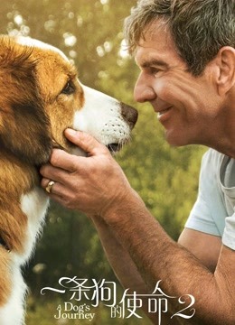一条狗的使命2（普通话）}