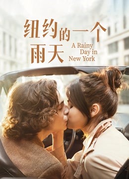 纽约的一个雨天}