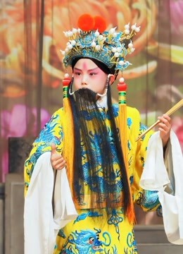 第七届和平杯京剧小票友邀请赛}