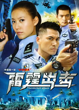 要案组雷霆出击}