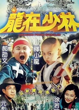 龙在少林}