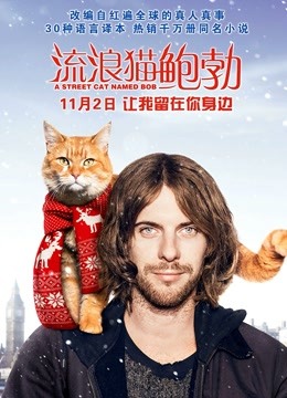 流浪猫鲍勃}