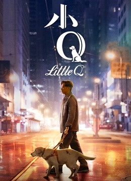 小Q无障碍解说版}