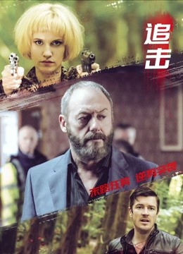 追击2017}