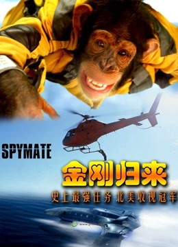 金刚归来普通话版}