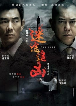 迷途追凶}