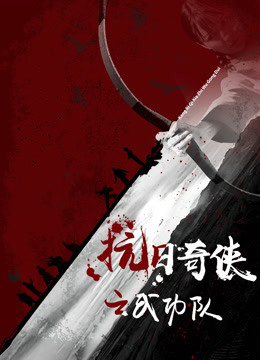 抗日奇侠之武功队}