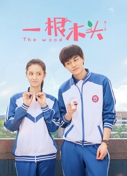 一根木头第二季}