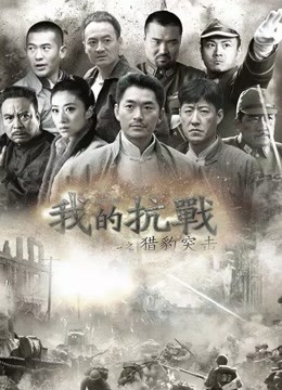 我的抗战之猎豹突击}