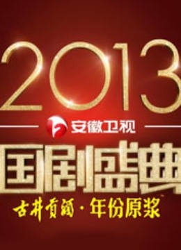 安徽卫视2013国剧盛典}