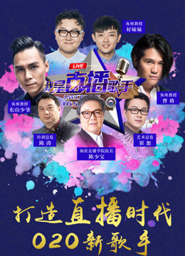 我是直播歌手网络版}