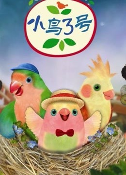 小鸟3号}