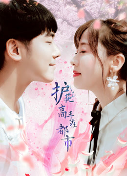 护花高手在都市}