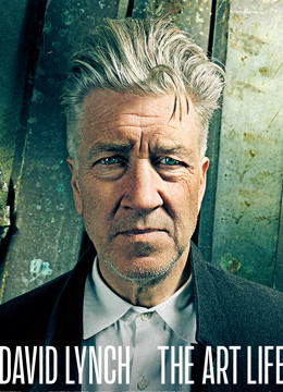 大卫林奇艺术生涯}