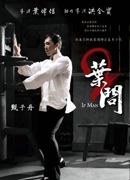 叶问2宗师传奇}