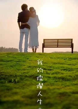 我的灿烂人生}