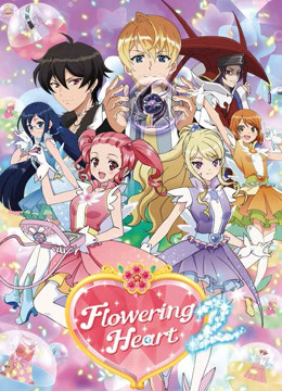 魔法指环少女第二季}