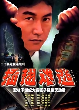 插翅难逃张治中版}