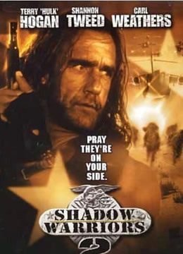 影子勇士2普通话版}