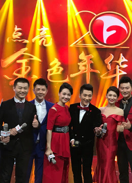 安徽卫视上星二十周年庆典晚会}