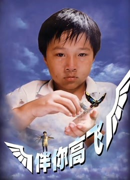 伴你高飞1998}