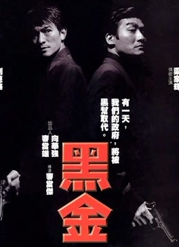 黑金粤语版}