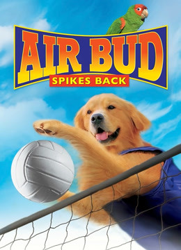 飞狗巴迪5排球健将英语版}