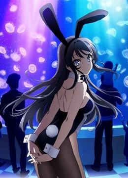 青春猪头少年不会梦到兔女郎学姐}