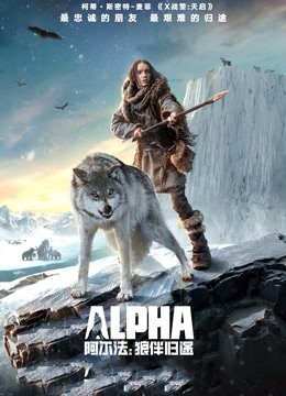 阿尔法狼伴归途}