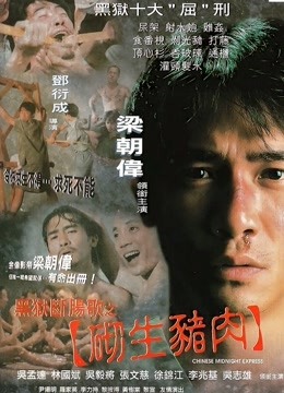 黑狱断肠歌之砌生猪肉粤语版}