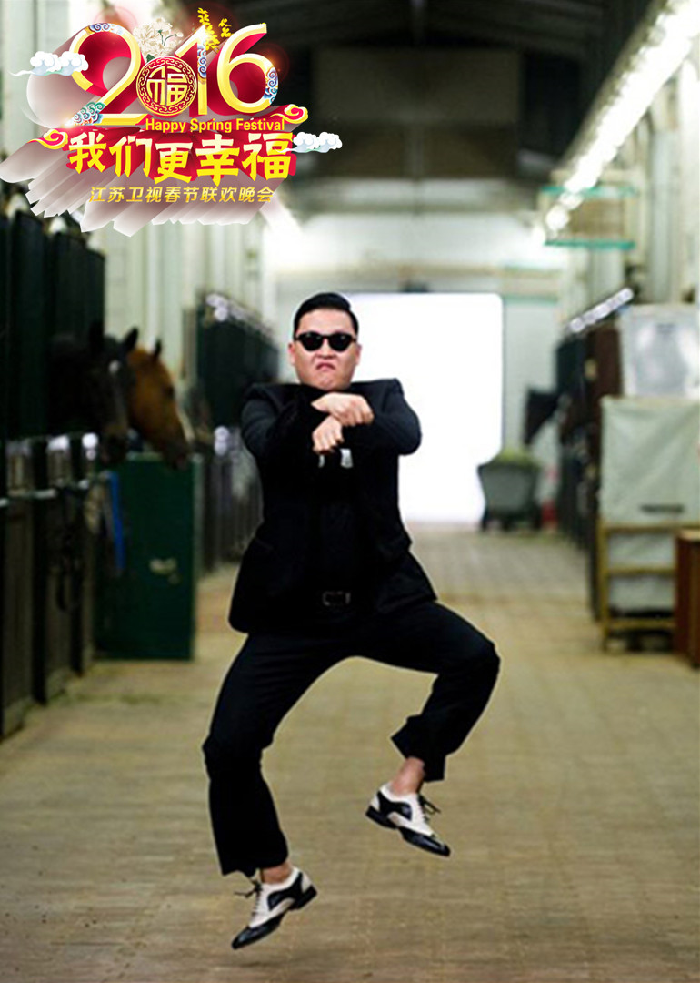 2016江苏卫视春节联欢晚会}