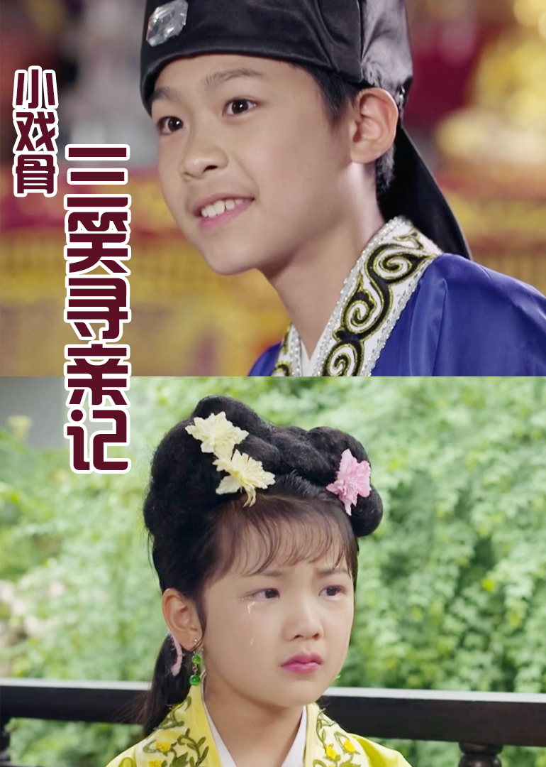 小戏骨三笑寻亲记}