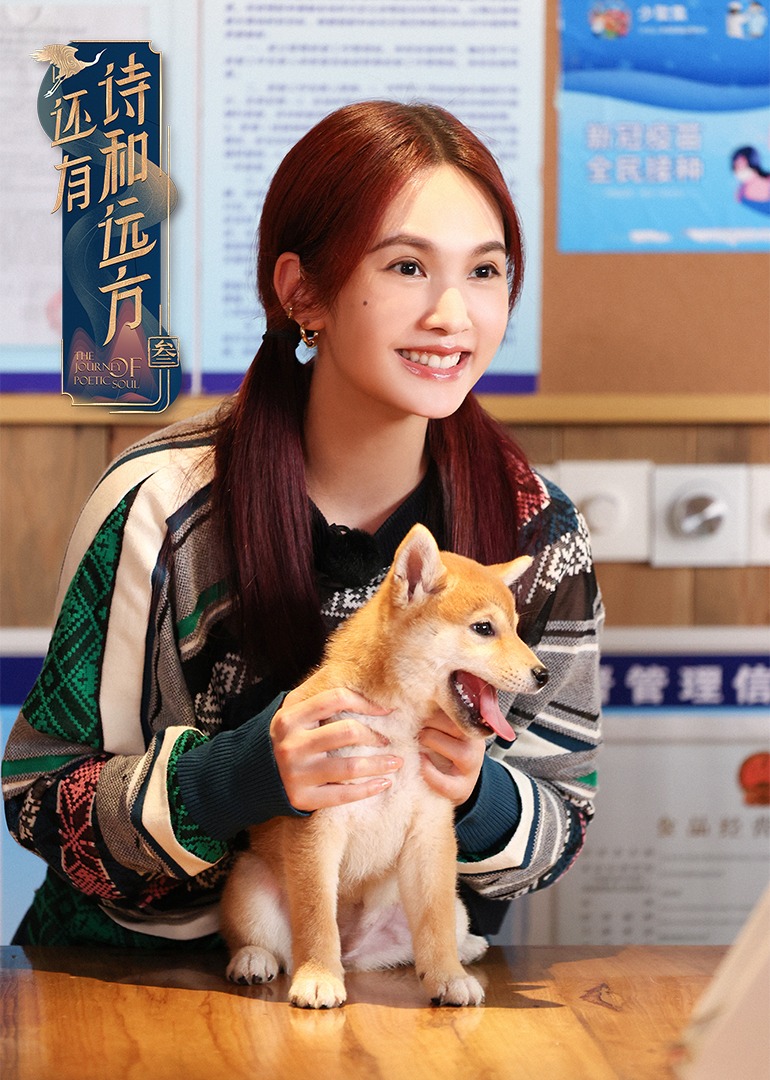 还有诗和远方 诗画浙江篇}