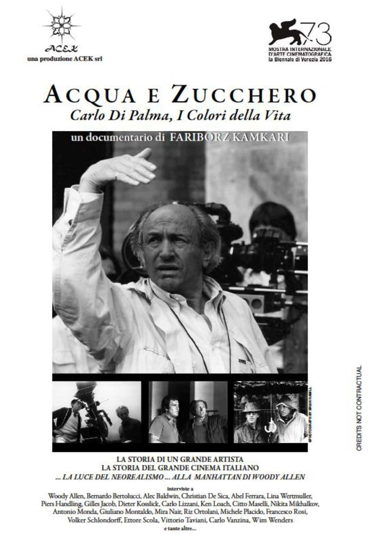 水与糖摄影家卡洛迪帕尔马的生活与色彩}