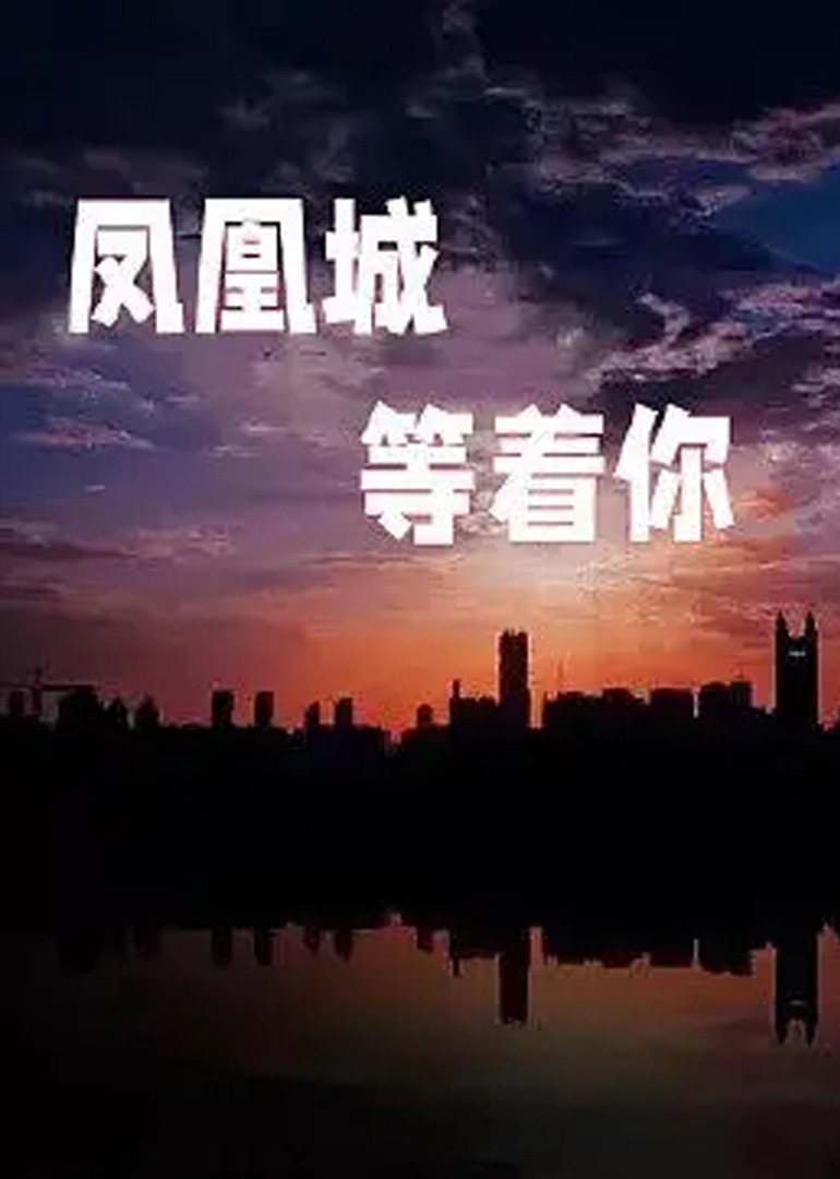 凤凰城等着你}