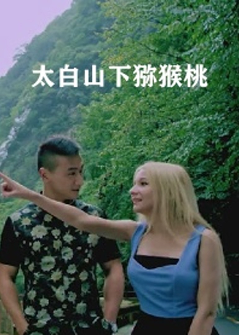 太白山下猕猴桃}